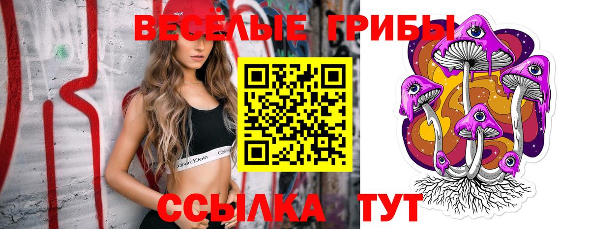 Корсаков  Псилоцибиновые грибы Magic Shrooms  где найти   Вход с VPN  Галлюциногенные грибы Psilocybe 